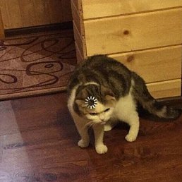 ����, �����������, 23 ����