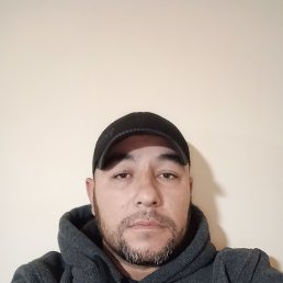 ���� ����, ������, 41 ��� - ��������� 5 ������ 2023