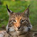 ���� ����, �����, 48 ��� - ��������� 24 ������ 2022 � ������ ���� ����������