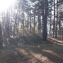 ���� ������, ������, 65 ��� - ��������� 12 ������� 2022