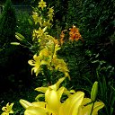 ���� ����, �����-��������� - ��������� 2 ������� 2022 � ������ ������ ��������