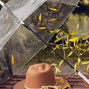 ���� ���������, ������, 68 ��� - ��������� 11 ������� 2022 � ������ ������ ��������