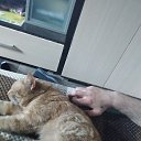 ���� �������, ��������, 52 ���� - ��������� 12 ���� 2022 � ������ ���� ����������