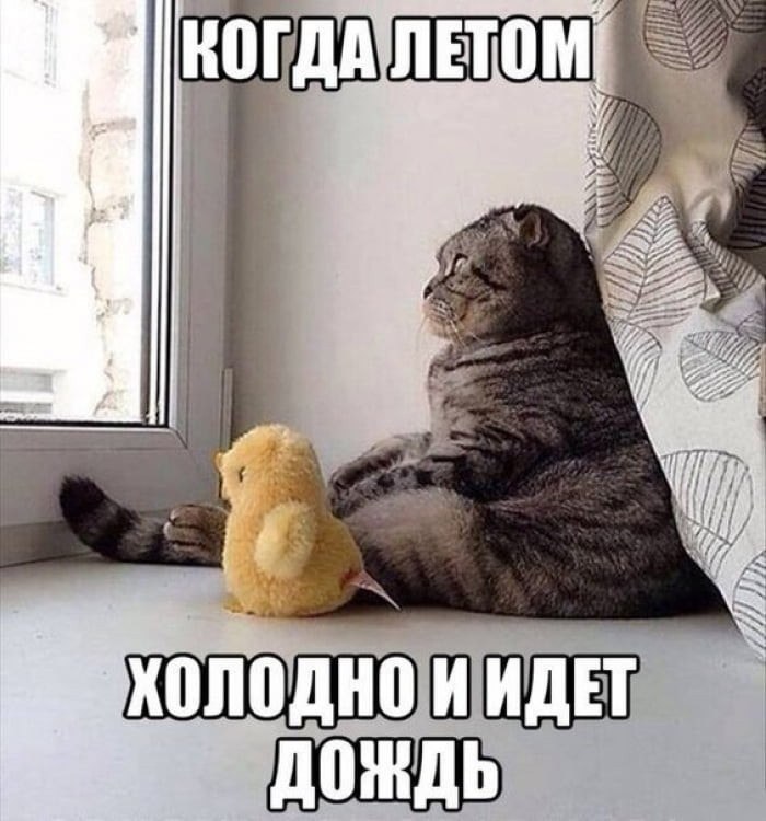    ,       , 6     .