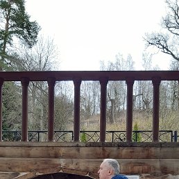 ���� �����, ��������, 59 ��� - ��������� 1 ��� 2022