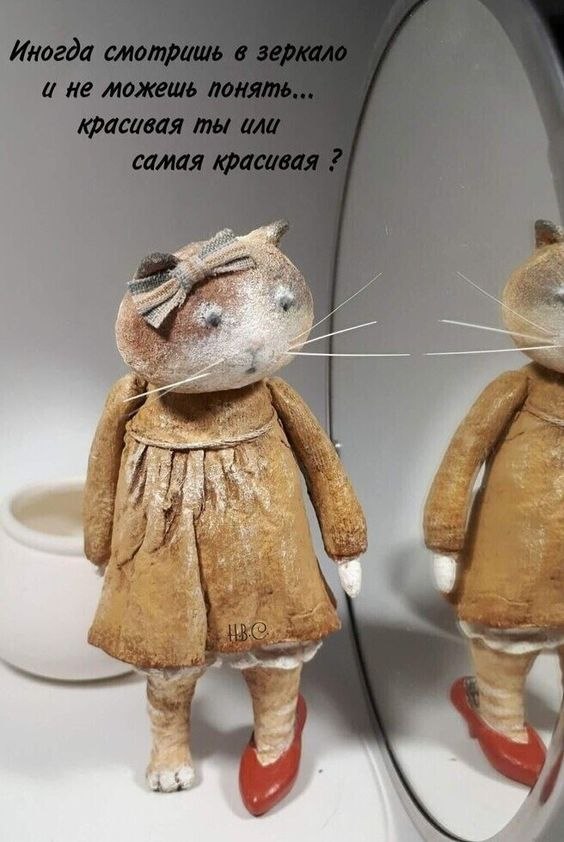   - 11  2022  22:27