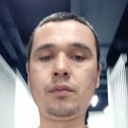 ��������, �������, 36 ���