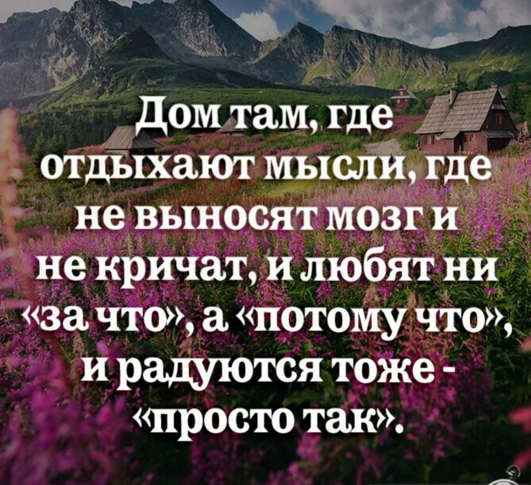 Veta - 4  2022  18:08