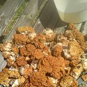 ���� �����, ������, 59 ��� - ��������� 23 ���� 2022