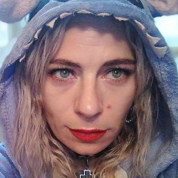 ����, ������, 41 ���