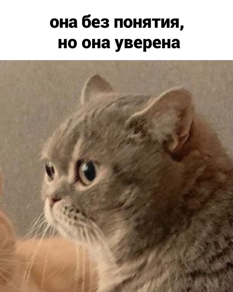 ����� ��� ������� ������ - 4