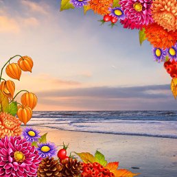 ���� ������, �����, 68 ��� - ��������� 19 ������� 2023