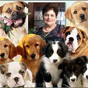 ���� �������, ���������, 68 ��� - ��������� 13 ������� 2022 � ������ ���� ����������