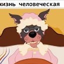 ���� ��������, ��������, 58 ��� - ��������� 6 ������ 2023 � ������ ���� ����������