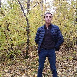 ���� �����, �����������, 44 ���� - ��������� 15 ������� 2023