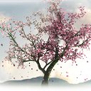 ���� ������, �����������, 66 ��� - ��������� 16 ������� 2023 � ������ ���� ����������