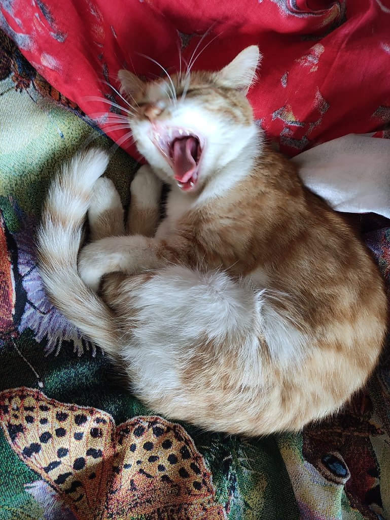 !)