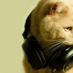 ���� �������, ������, 25 ��� - ��������� 15 ������ 2023