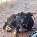 ���� �������, �����������, 61 ��� - ��������� 3 ������� 2022