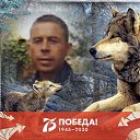 ���� ������, ���������, 52 ���� - ��������� 11 ������� 2023