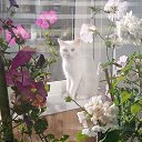  , -, 60  -  12  2022