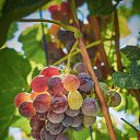 ���� ��������, �������, 57 ��� - ��������� 1 ������� 2023 � ������ ���� ����������