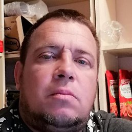 ���������, �����������, 43 ����