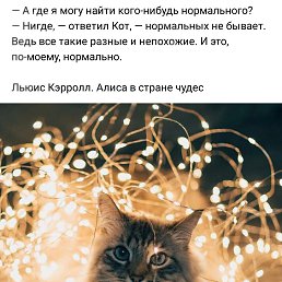 ���� �����, �����-���������, 52 ���� - ��������� 18 ���� 2022