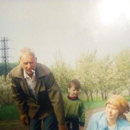 ���, ���������, 43 ����