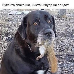 �����, ����, 45 ���