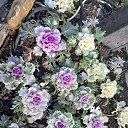 ���� �������, ������, 63 ���� - ��������� 16 ������� 2023