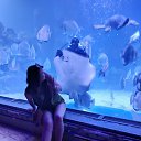 ���� Valu, ������, 42 ���� - ��������� 3 ������� 2022