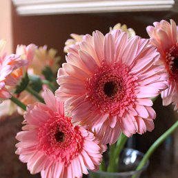 ���� ���, �����-���������, 43 ���� - ��������� 11 ����� 2022