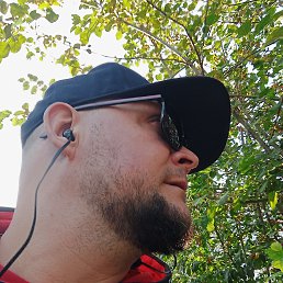 ���� ���������, ��������, 42 ���� - ��������� 8 ������ 2022