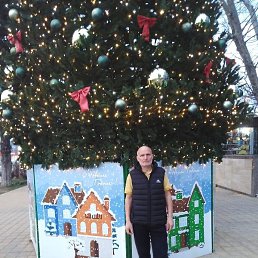 �����, ���������, 37 ���