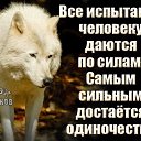 ���� ������, ���������, 57 ��� - ��������� 7 ������� 2022 � ������ ������������