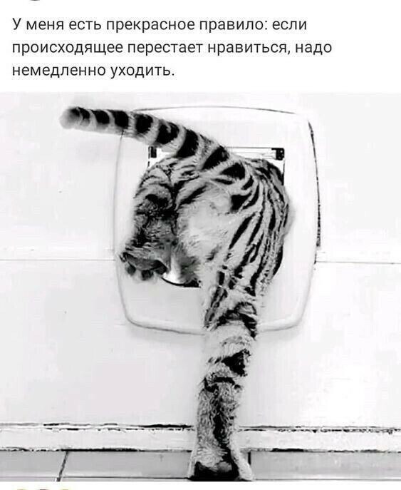 ***Victoria Viktorovna*** - 21  2022  03:45