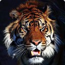���� Eliazawr, �������, 58 ��� - ��������� 12 ���� 2022