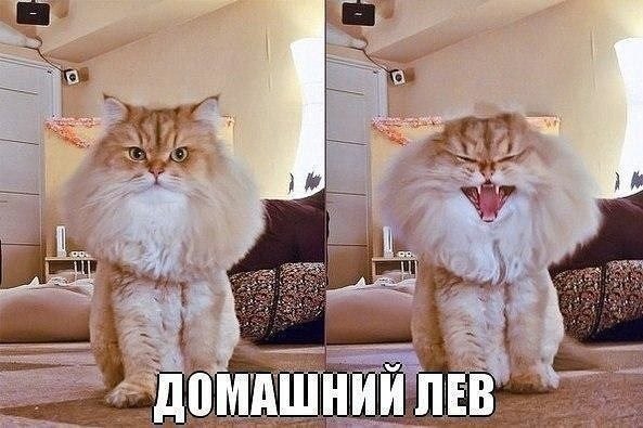 ��� �������� �������� - 16 ������� 2022 � 20:12