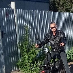 ���� ������, ��������, 54 ���� - ��������� 7 ������� 2023