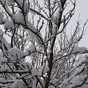  Elena  !,  -  12  2022    