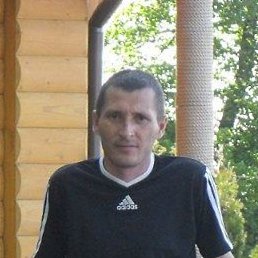 ��������, �������, 47 ���