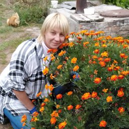 ���� ����, �����������, 53 ���� - ��������� 13 ������� 2023