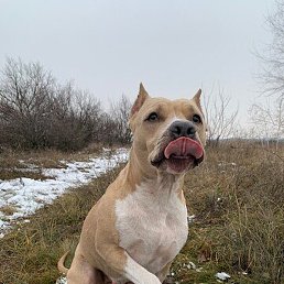 ������, ����, 44 ����