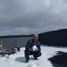 �����, �����-���������, 58 ���