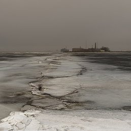 �������, �����-���������, 43 ����