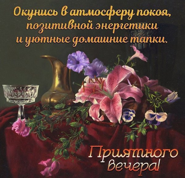   ,    . - 22  2022  17:08