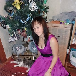 �������, ����������, 38 ���