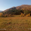 ���� ����������, �����, 43 ���� - ��������� 26 �������� 2022 � ������ ���� ����������