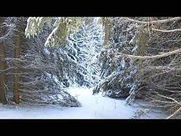 � ��� ����� ������...������!!...)https://youtu.be/w49LD_5IoLU